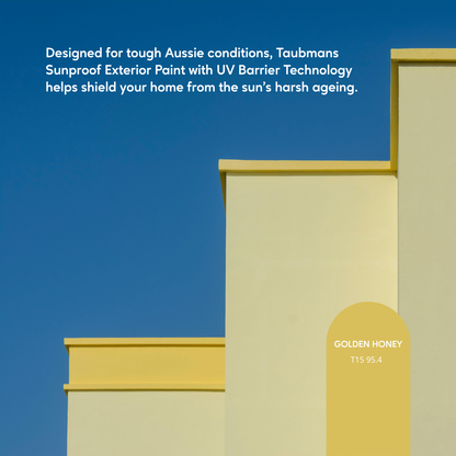 Taubmans Accent Sheen Low Sunproof Exterior Paint - 4L