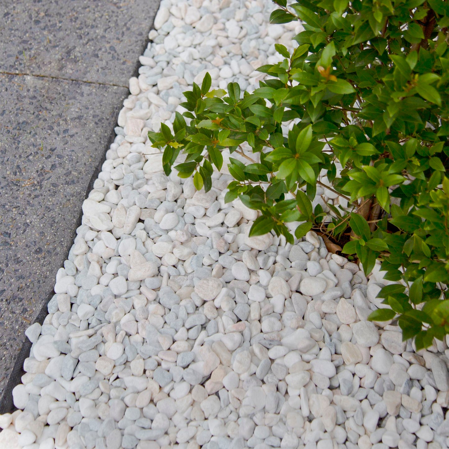 Tuscan Path Mixed Decorative Stones - 20-40mm - 10kg