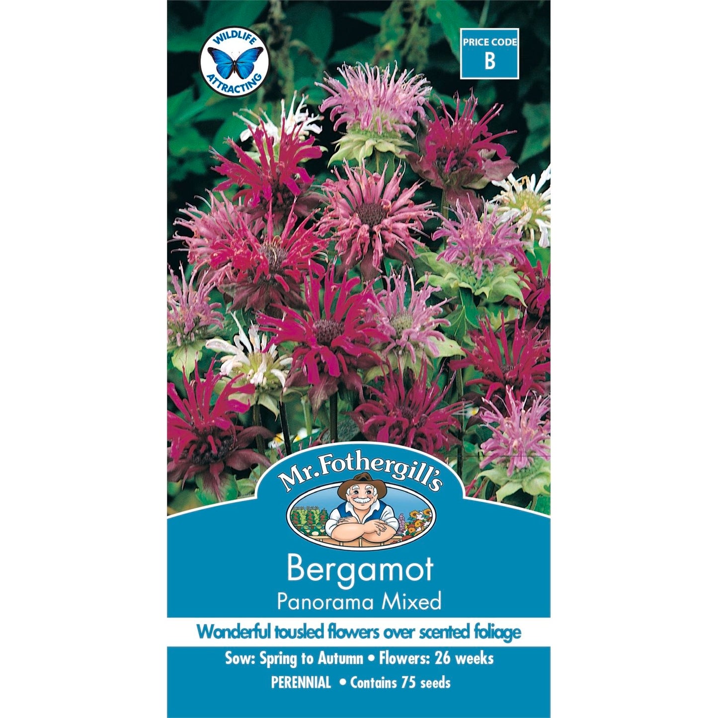 Mr Fothergill Bergamot Panorama Mix Seeds