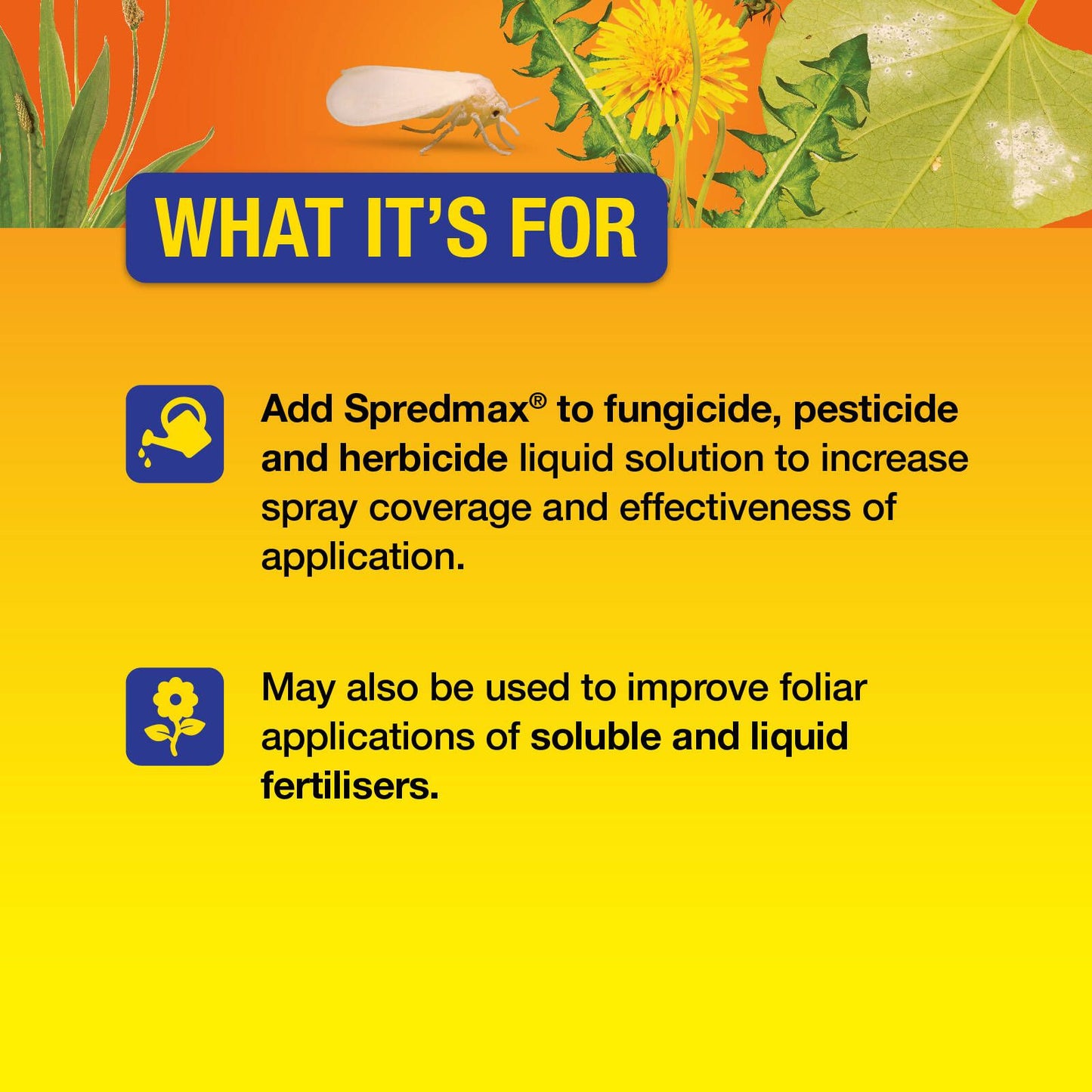 Searles Wetting Agent - 200ml