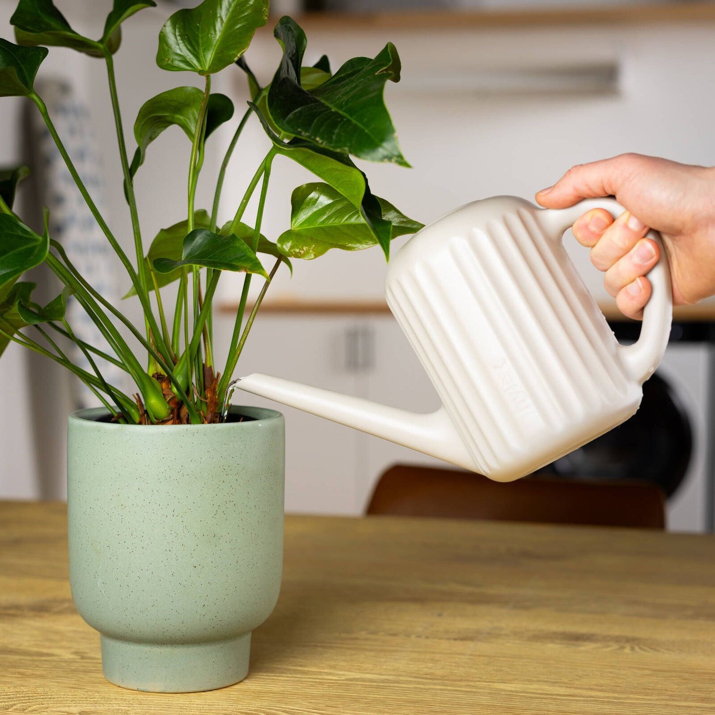 Nylex Dune Watering Can - 1.5L