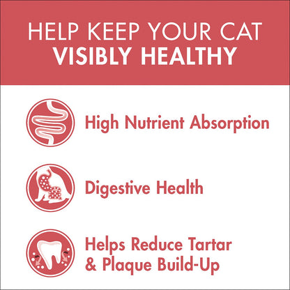 Purina One Healthy Adult With Salmon & Tuna 1+ Years Dry Cat Food 3kg