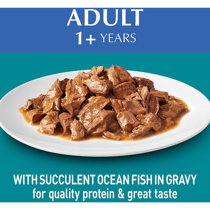Purina One Adult Ocean Fish In Gravy Wet Cat Food 70g