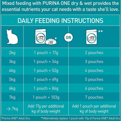 Purina One Adult Ocean Fish In Gravy Wet Cat Food 70g