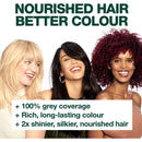 Garnier Nutrisse Hair Colour 5 Chocolate Brown Each