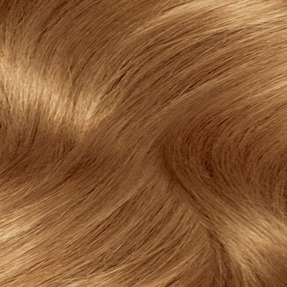 Clairol Nice 'N Easy Permanent 8WR Golden Auburn Hair Colour each