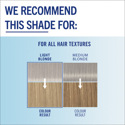 Schwarzkopf Live Colour Permanent Hair Dye Silver Storm Each