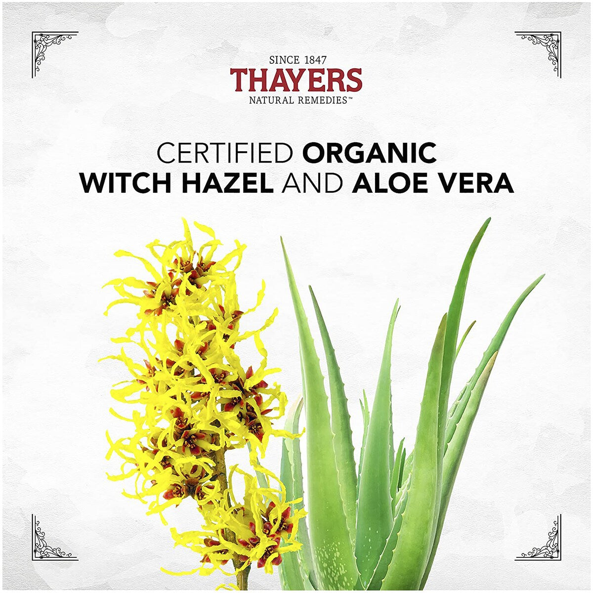 Thayers Facial Toner Witch Hazel Rose Petal 355ml