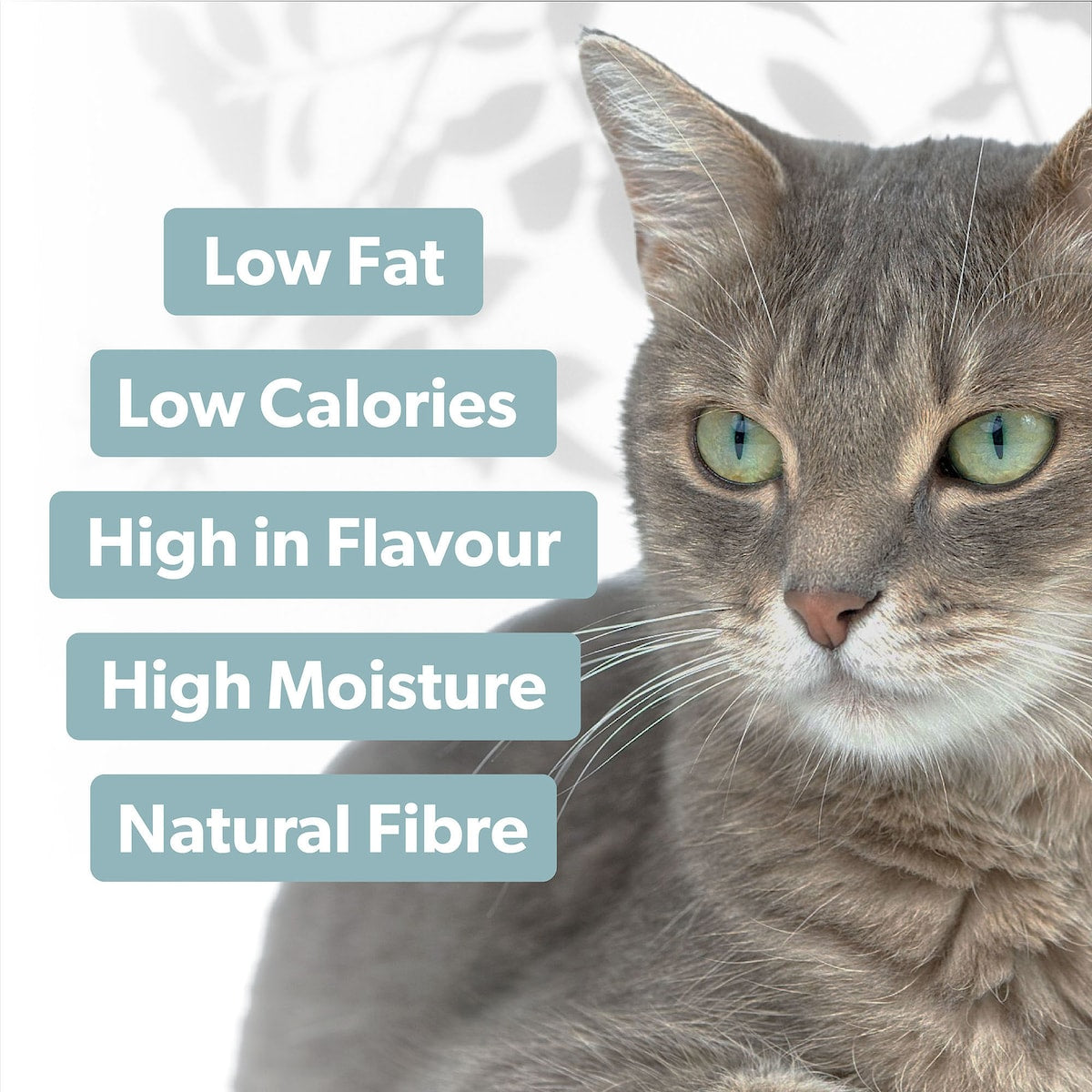 Pretty Wild Creamy Tuna Puree Cat Treats 15g X 4 Pack