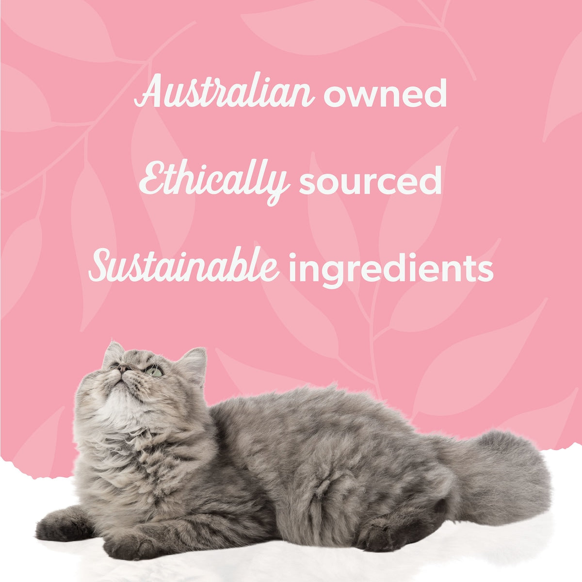 Pretty Wild Creamy Salmon & Chicken Puree Cat Treats 15g X 4 Pack