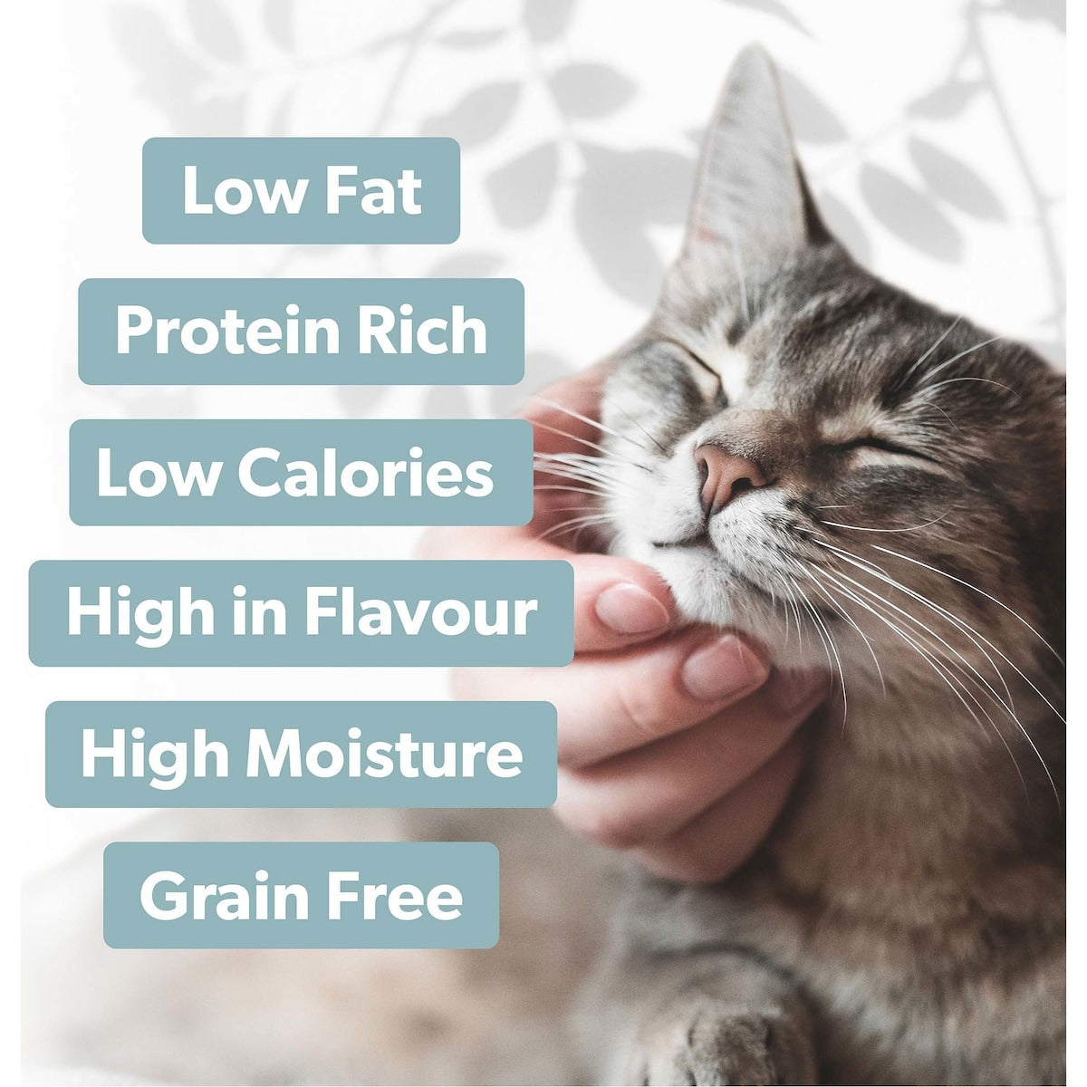 Pretty Wild Shredded Chicken & Tuna Wet Cat Food 80g
