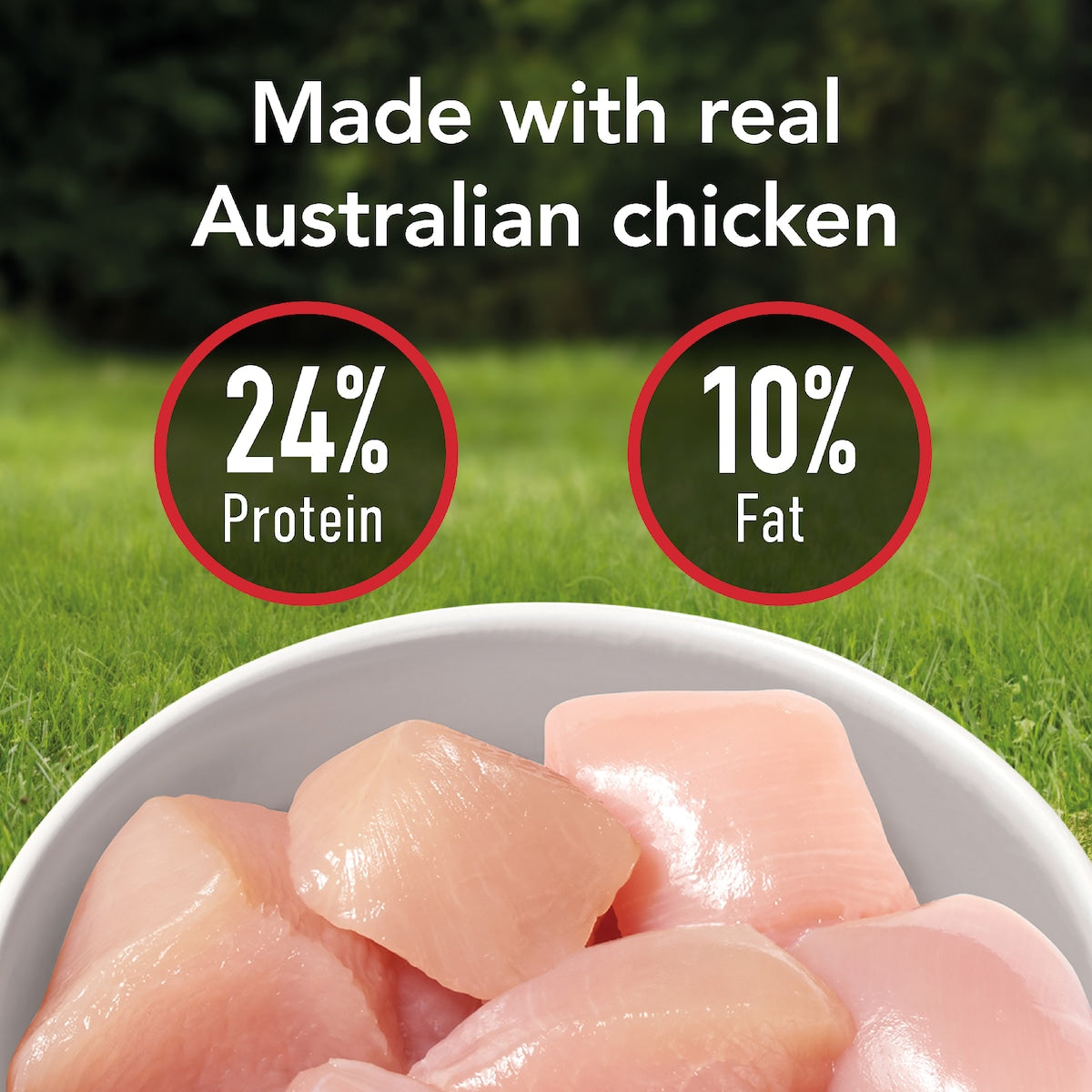 Supercoat Adult Chicken Dry Dog Food 7kg