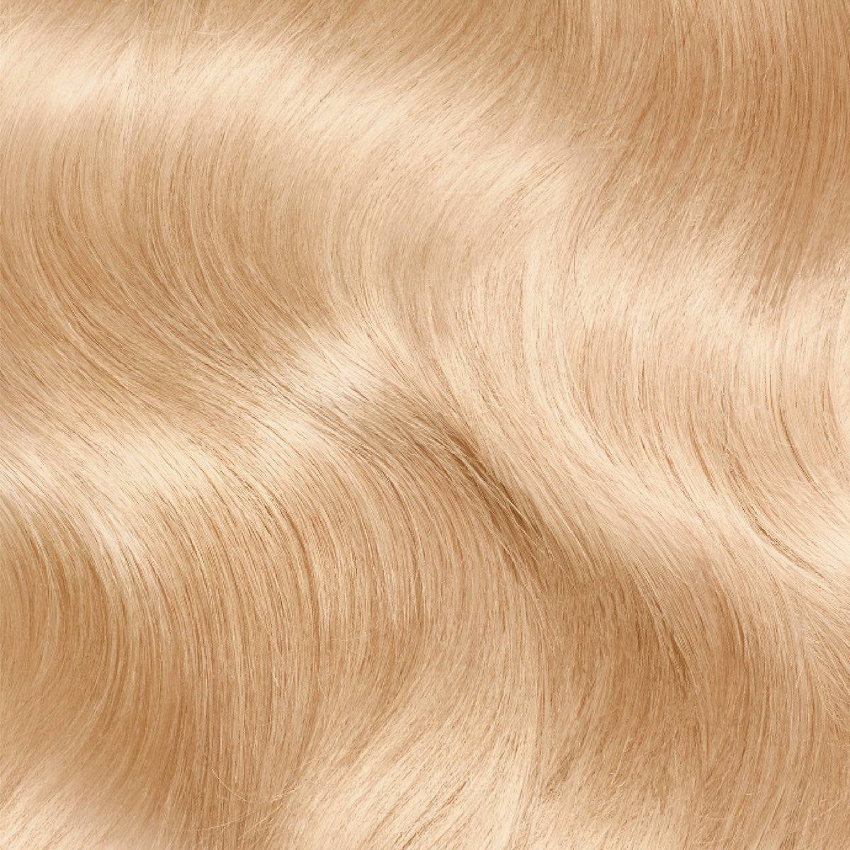 Loreal Paris Preference Hair Colour 9.1 Light Ash Blonde Each