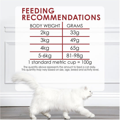 Fancy Feast Adult Beef, Salmon & Cheese Flavour Dry Cat Food 450g