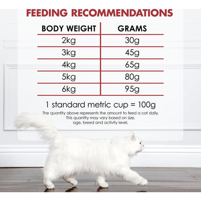 Fancy Feast Adult Beef, Salmon & Cheese Flavour Dry Cat Food 450g