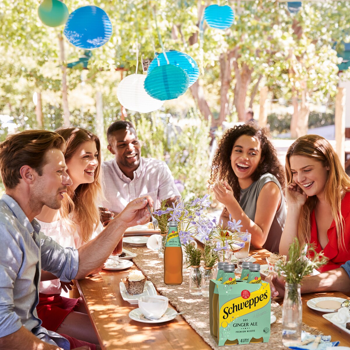 Schweppes Dry Ginger Ale Soft Drink Bottle Mixers Multipack 300mL x 4 pack