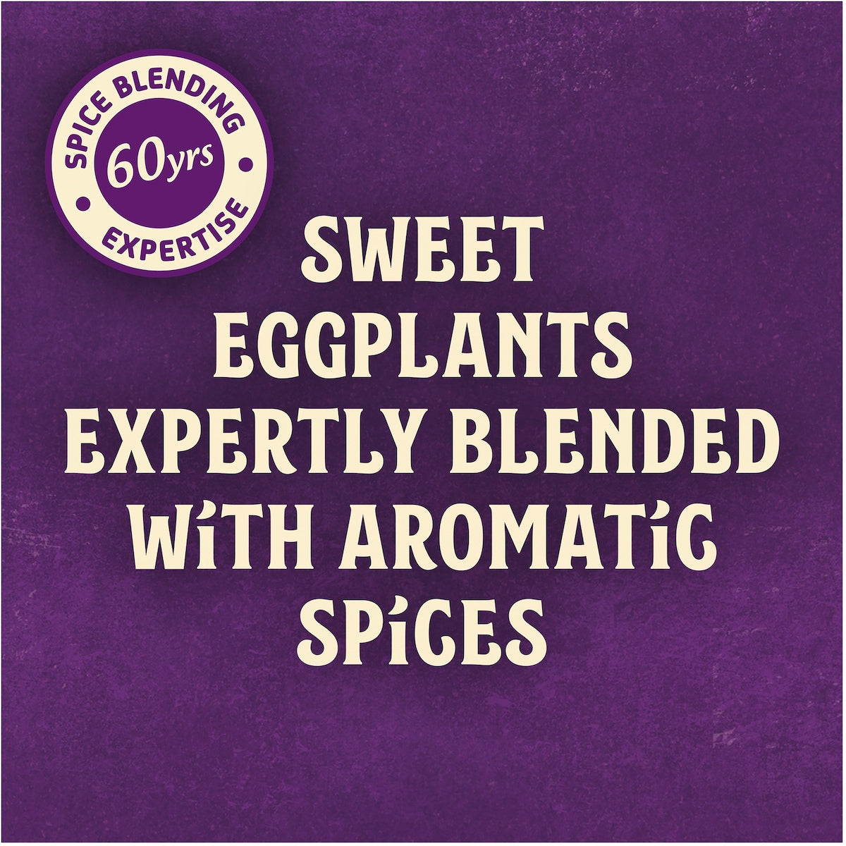 Pataks Eggplant Pickle 312g