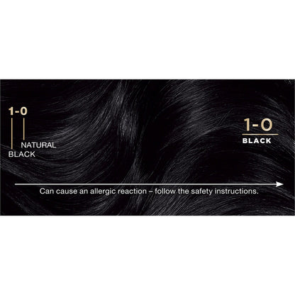 Napro Palette 1.0 Black Permanent Colour Each