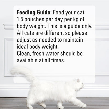 Fancy Feast Petite Delights Chicken & Salmon Cat Food 6 Pack