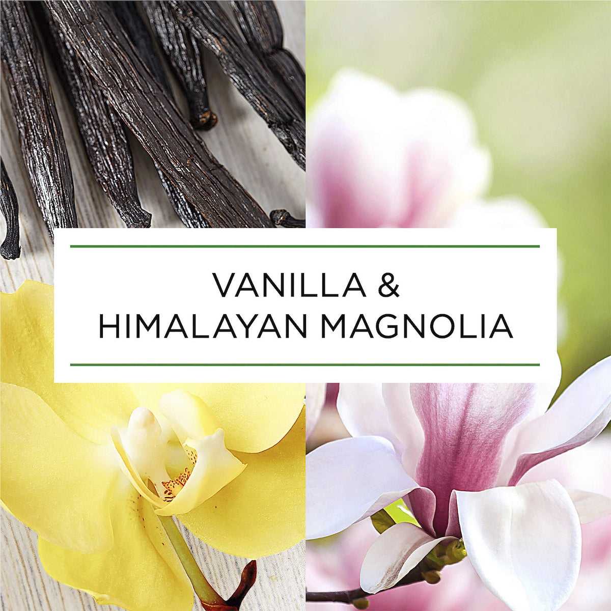 Botanica Auto Air Freshener Vanilla & Himalayan Magnolia 228ml