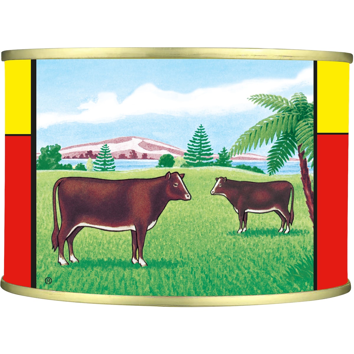 Pacific Corned Beef 453g