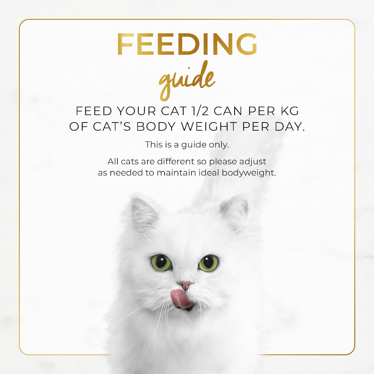 Fancy Feast Chicken Feast Classic Pate Wet Cat Food 85g