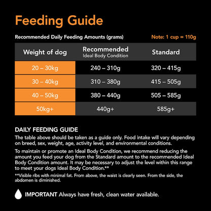 Supercoat Active Chicken With Beef Large Breed Dry Dog Food 7kg