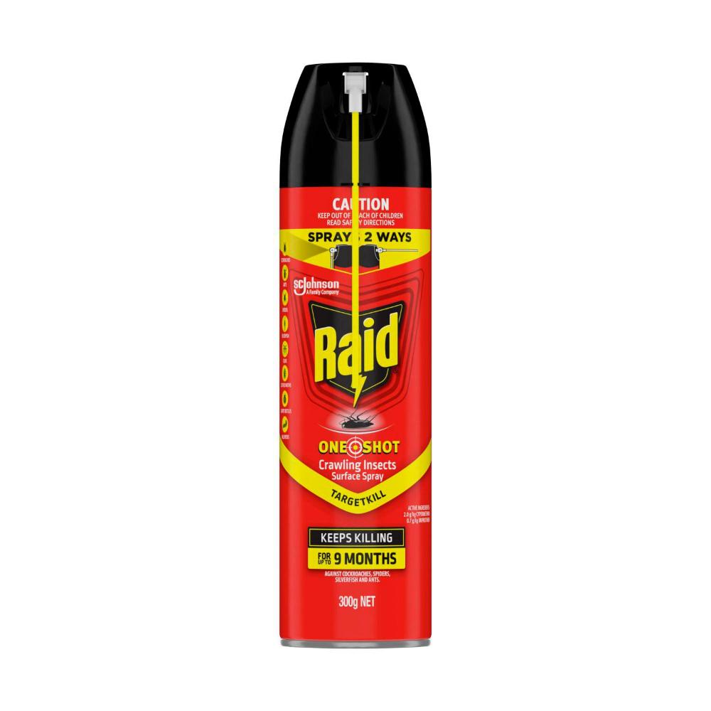 Raid One Shot Pest Surface Crawling Insects Spray Target Kill - 300g
