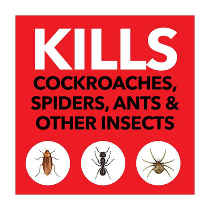 Raid One Shot Pest Surface Crawling Insects Spray Target Kill - 300g