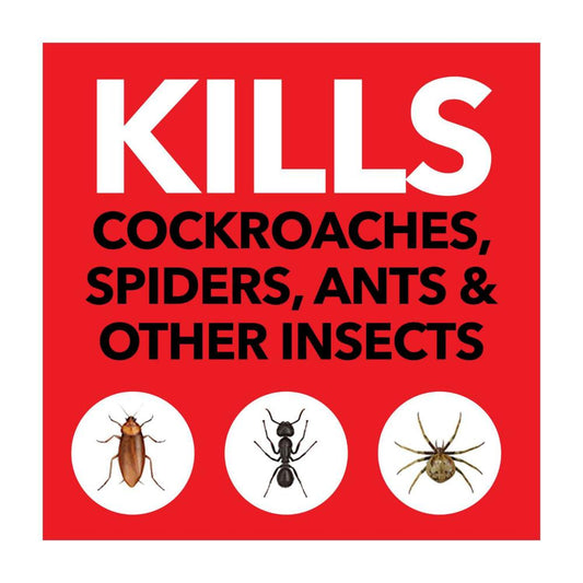 Raid One Shot Pest Surface Crawling Insects Spray Target Kill - 300g