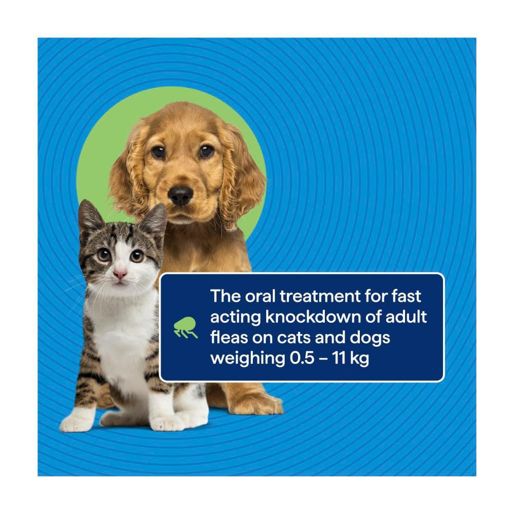 Purina Total Care Flea Knockdown for Cats, Puppies & Small Dog - 3 pack