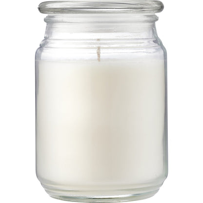 Haven Island Escape Mango & Kiwi Soy Blend Candle