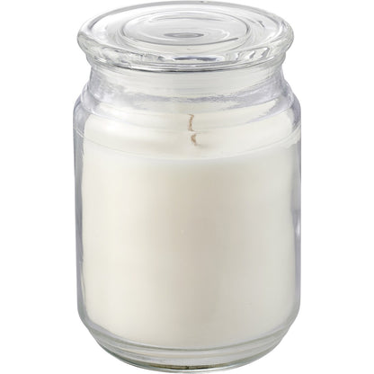 Haven Island Escape Mango & Kiwi Soy Blend Candle