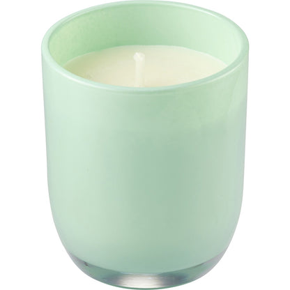 Haven Wild Crush Melon & Raspberry Soy Blend Candle