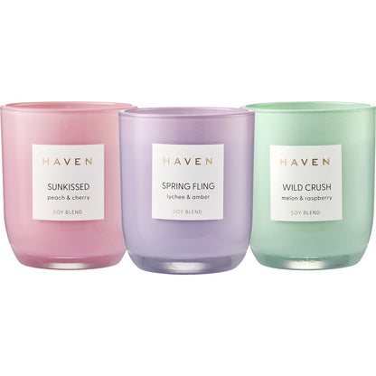 Haven Wild Crush Melon & Raspberry Soy Blend Candle