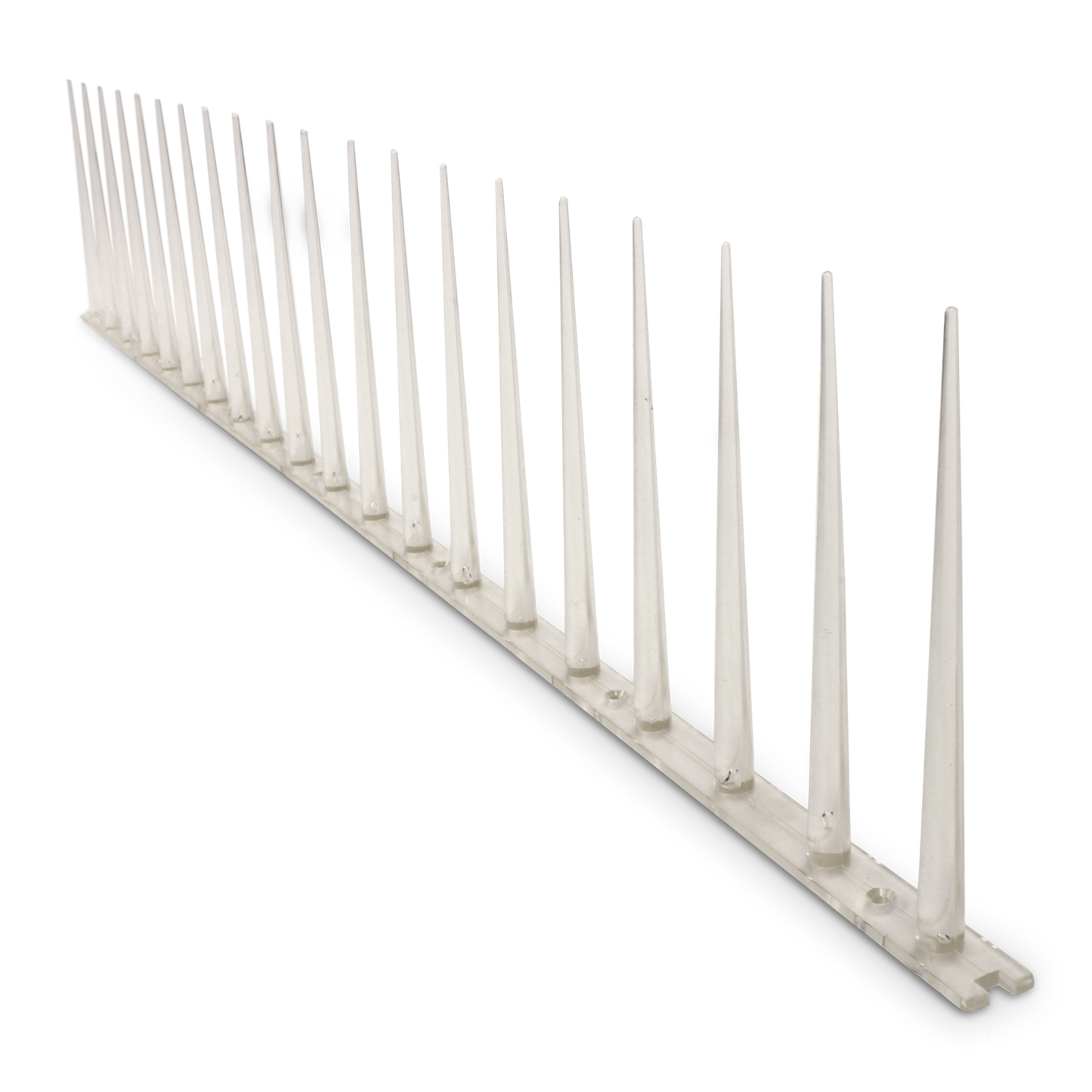 Jack Anti Bird Pest Control Spike - 600mm