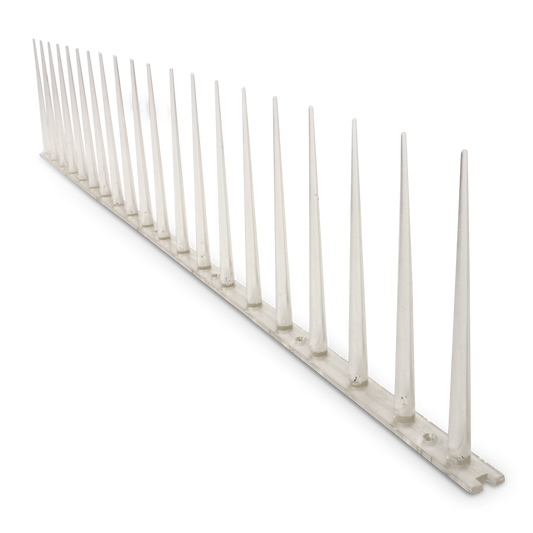 Jack Anti Bird Pest Control Spike - 600mm