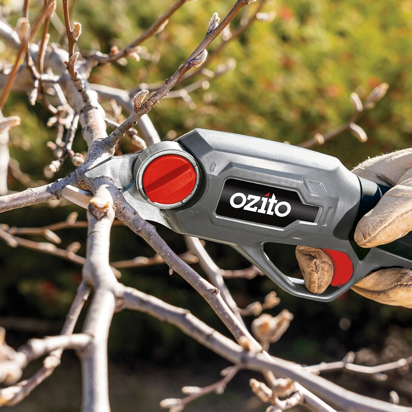 Ozito Cordless Pruner - 3.6V - 12mm