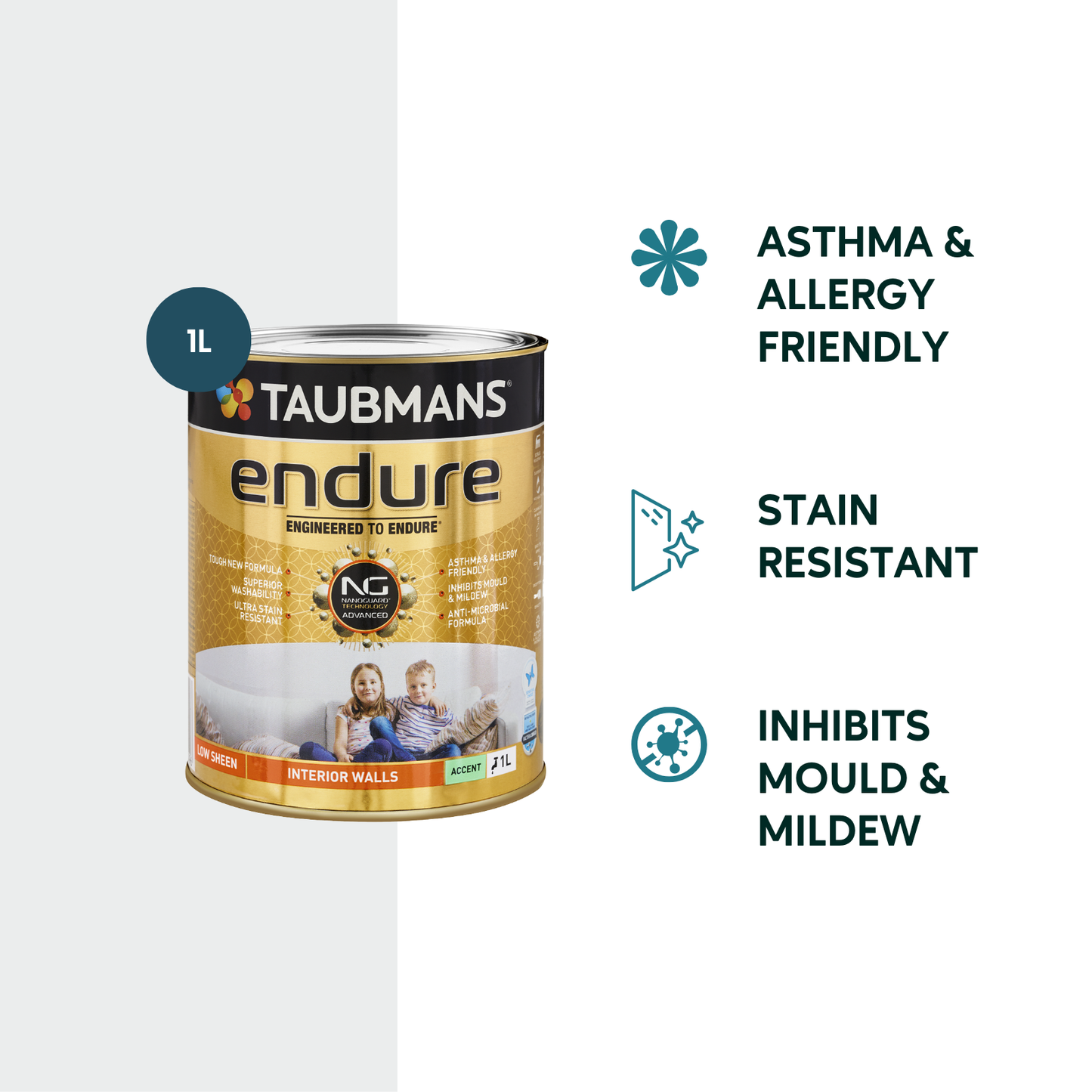 Taubmans Accent Low Sheen Endure Interior Walls Paint - 1L