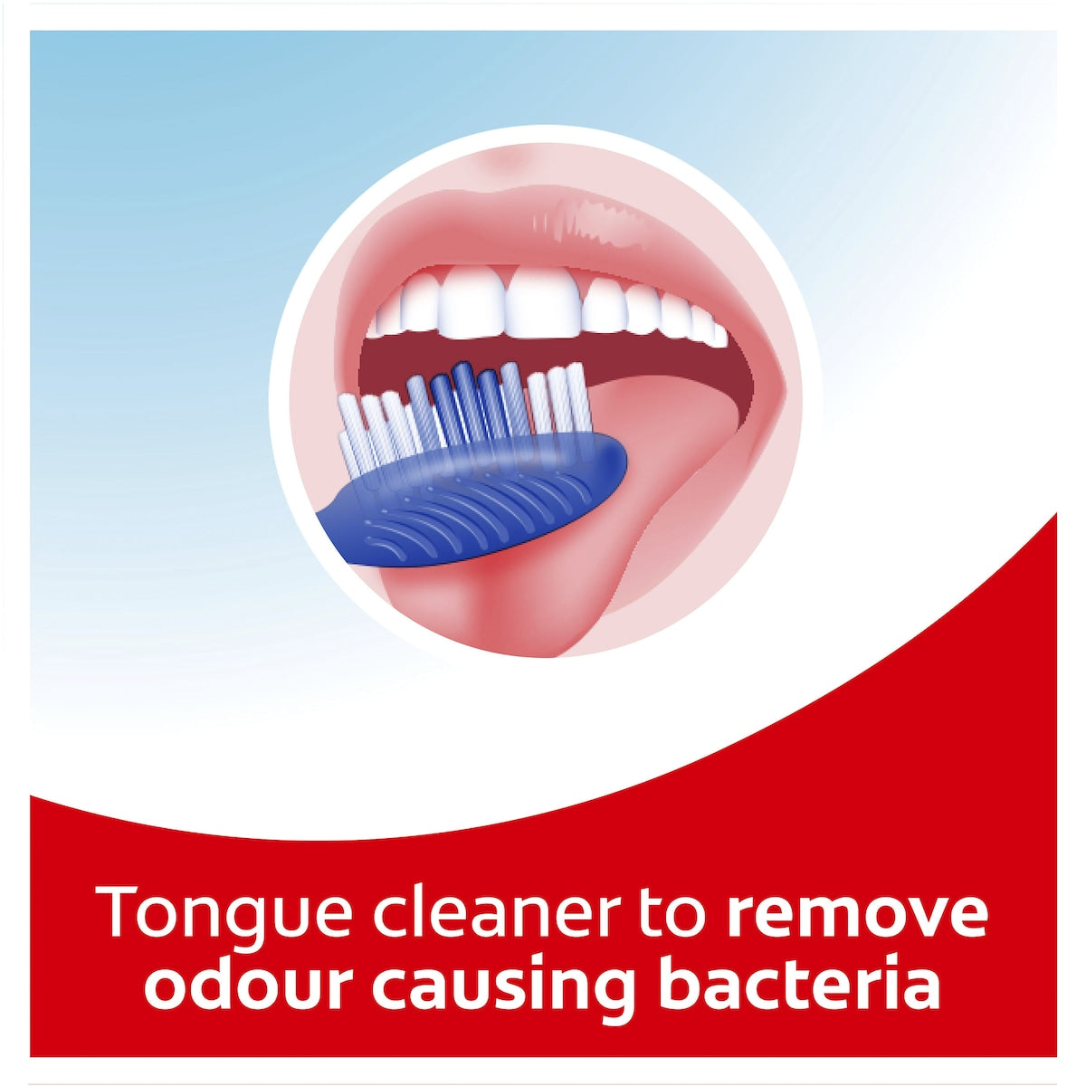 Colgate Toothbrush Extra Clean Medium Each