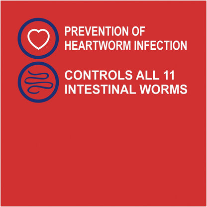 Exelpet Ezy Dose Heartwormer & Intestinal Allwormer For Dogs 4 pack