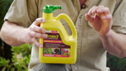Seasol Foliar Spray - 750ml