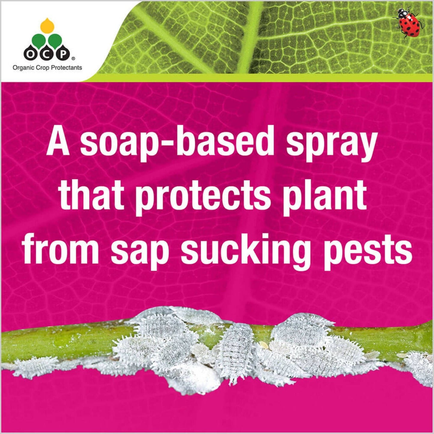 Ocp Eco Insect Killer - 750ml