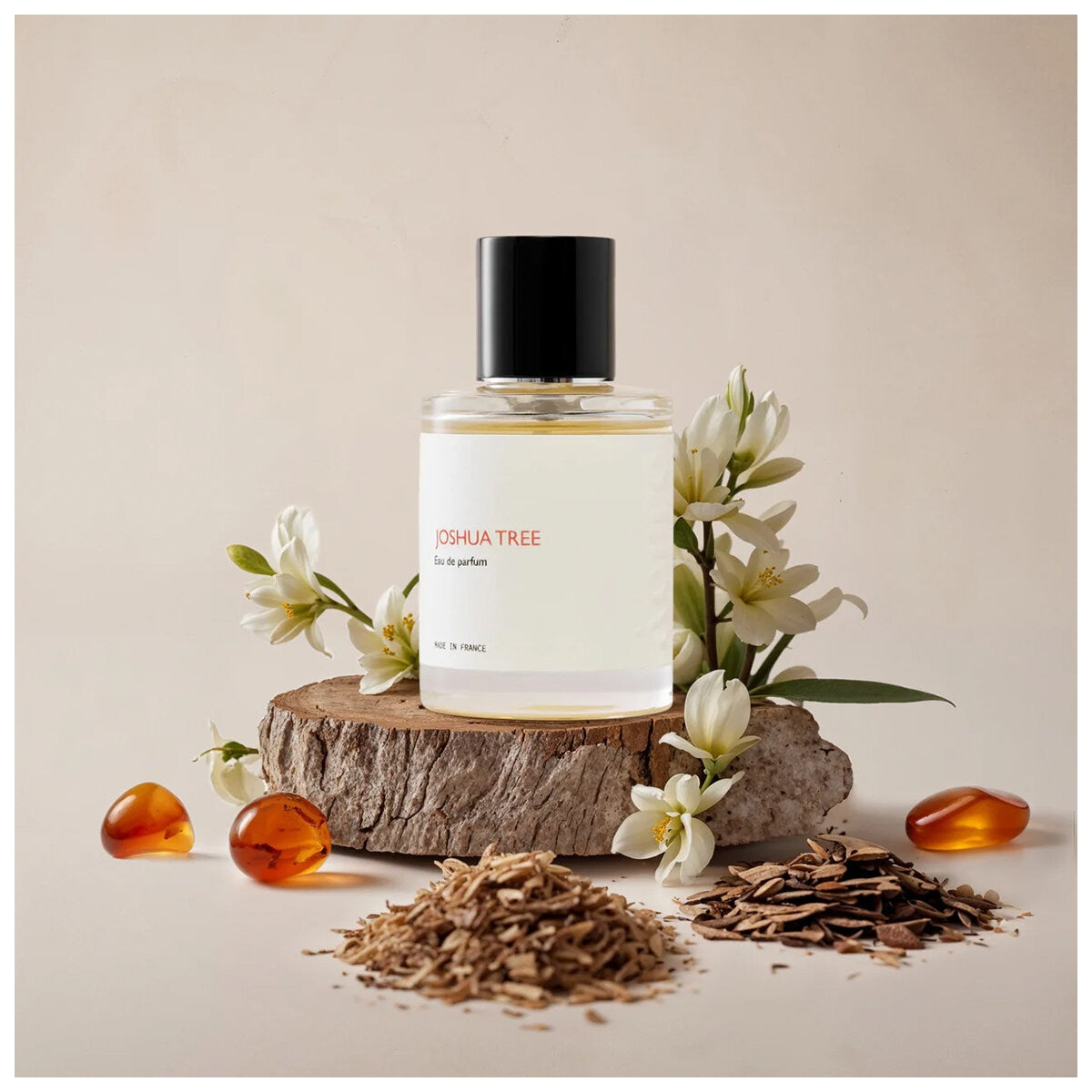 Aerre Joshua Tree Eau de Parfum 50ml - Citrus & Wood Scent with Earthy Undertones