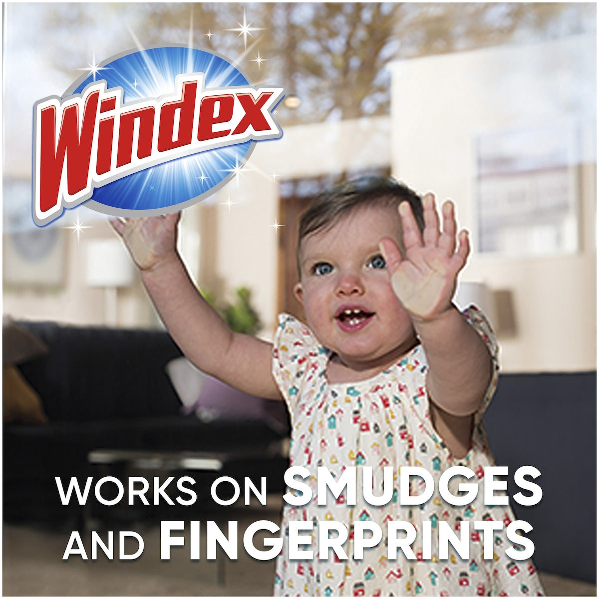 Windex Glass Cleaner Refill 750ml