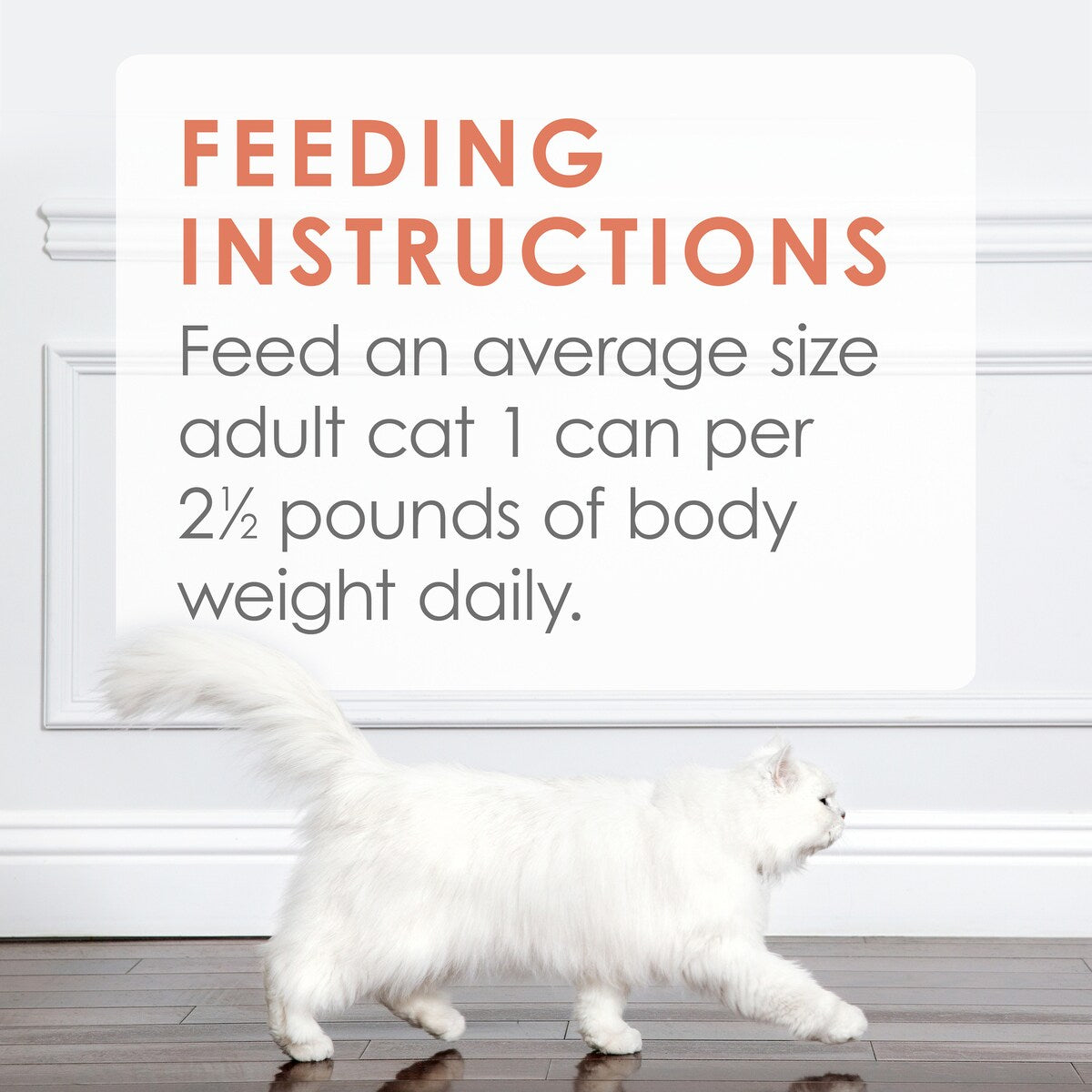 Fancy Feast Medleys Salmon Florentine Delicate Sauce Wet Cat Food 85g