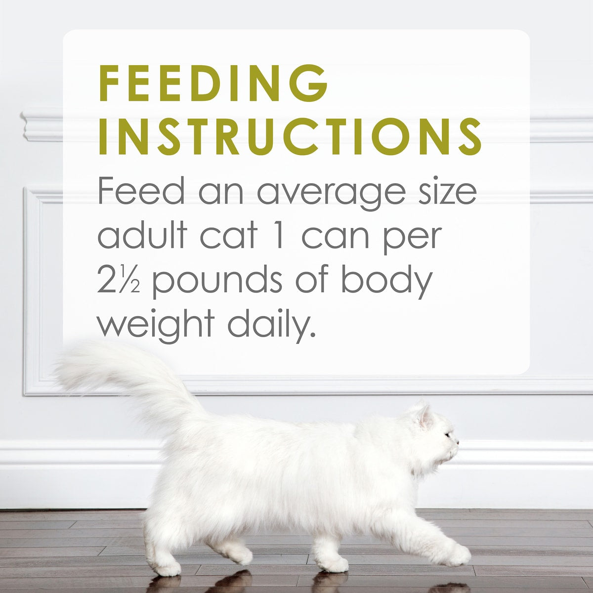 Fancy Feast Medleys White Meat Chicken Delicate Sauce Wet Cat Food 85g