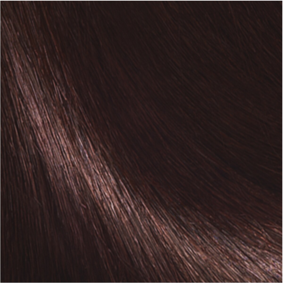 L'oreal Paris Casting Creme Gloss 323 Dark Chocolate Each