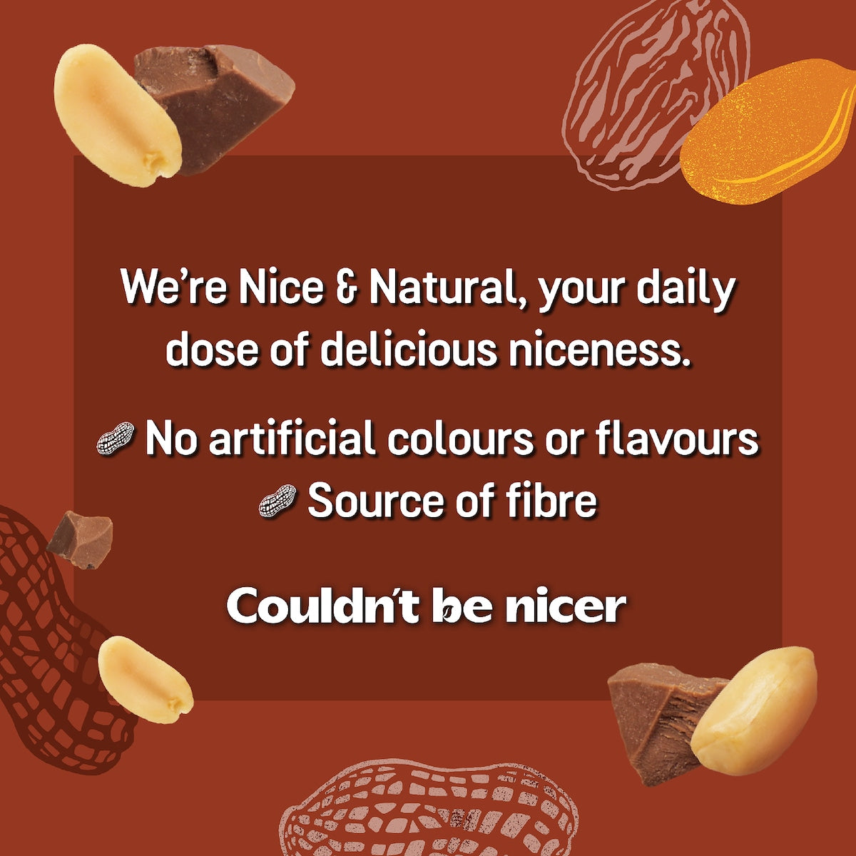 Nice & Natural Roasted Nut Bars Milk Choc 6 Pack