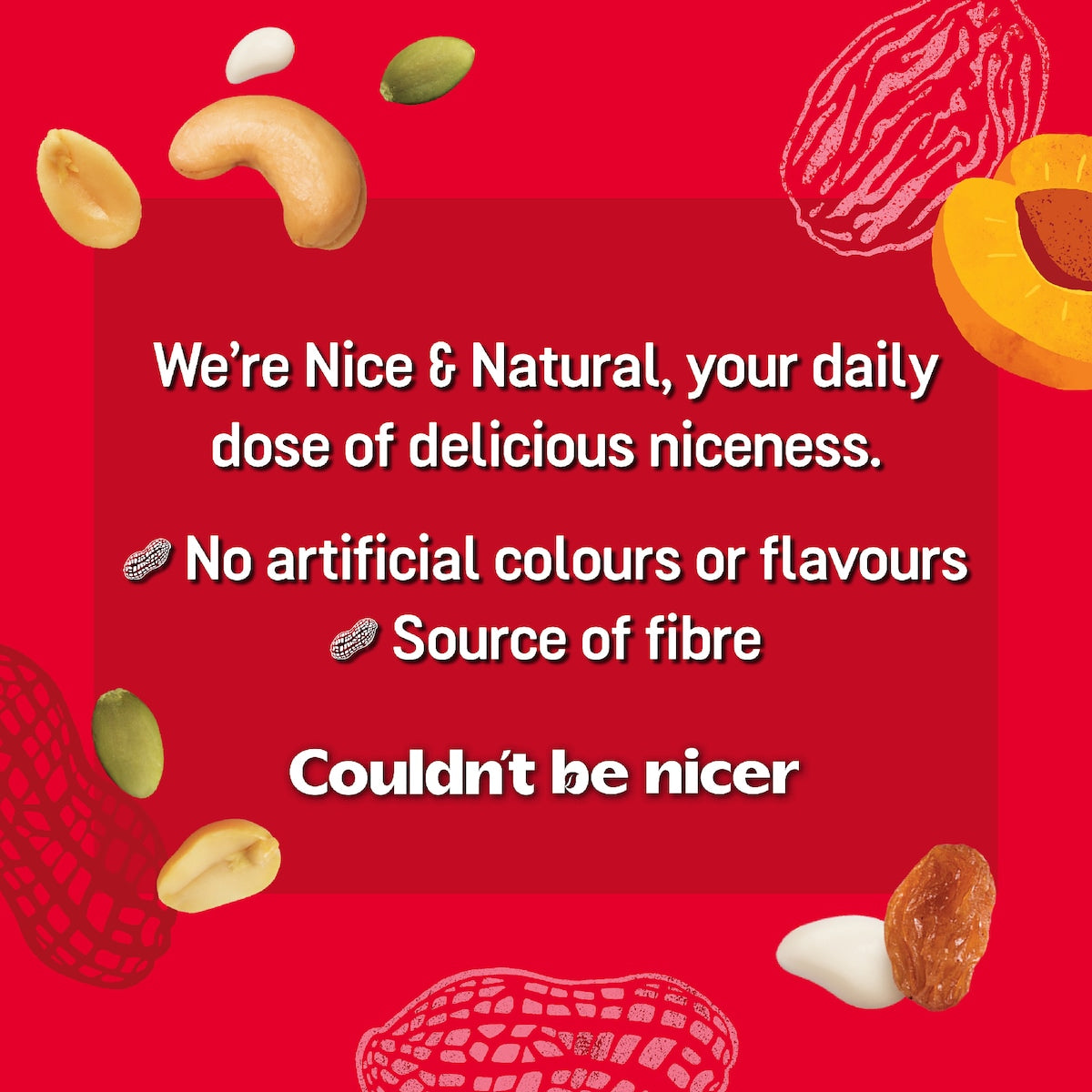 Nice & Natural Roasted Nut Bars Trail Mix 6 Pack